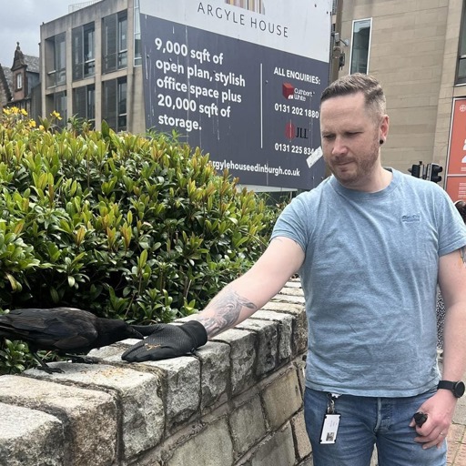 A crow eating from Erik's hand